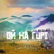 Синькаboys